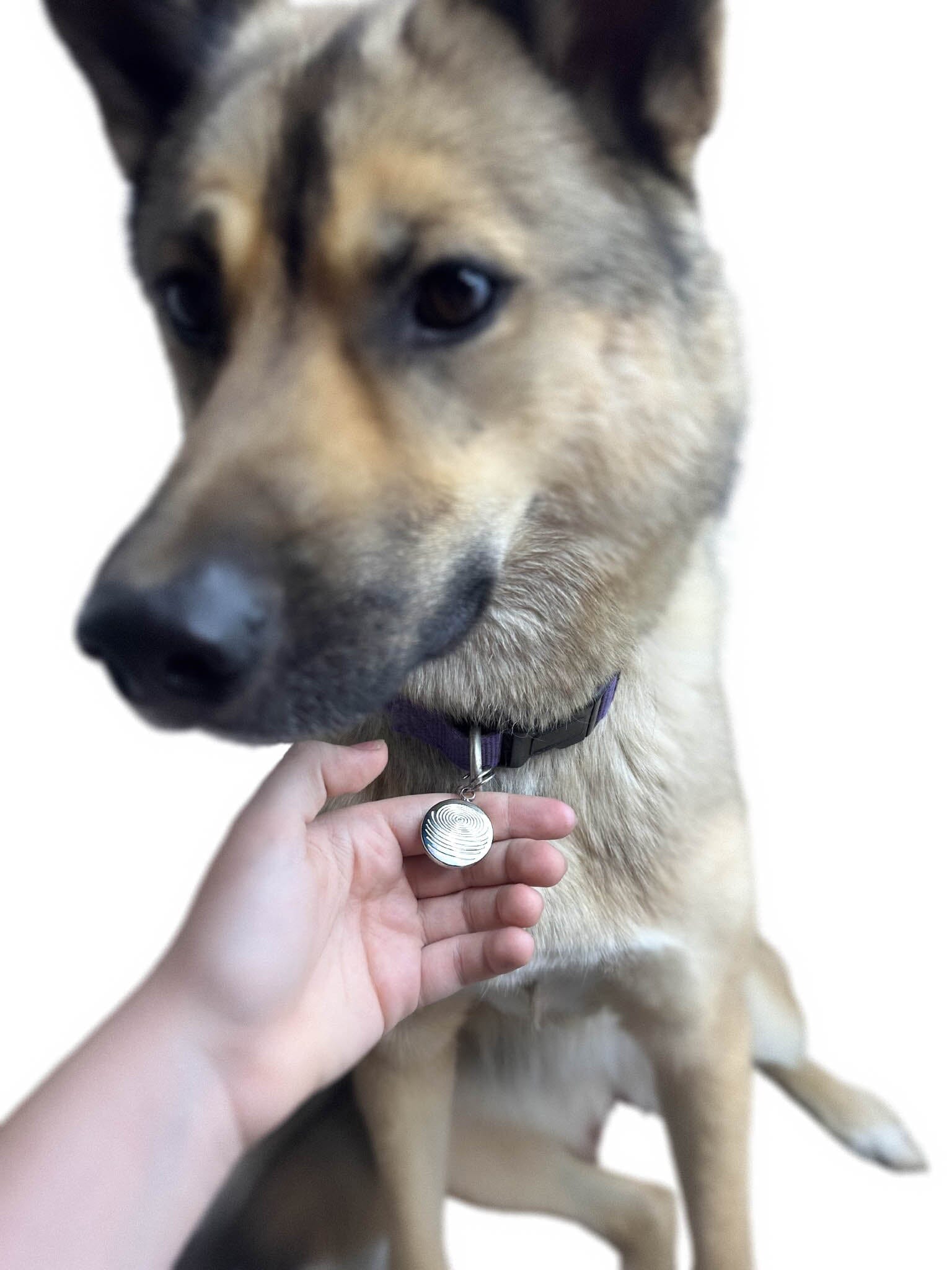 Pet EMF Defense Pendant
