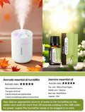 colorful Air Humidifier USB Electric Aroma Diffuser Essential Oil Purifier Aromatherapy Mist Maker Lights For Car Home Bedroom